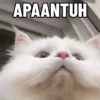 Meme kucing pt. 2 15