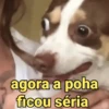 Figurinhas engraçadas 5