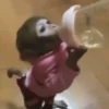 Monos lindos 5