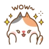 Cute cat and dog 9