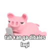 Babi gemoyyy dek 🐷 5