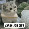 Random gif part 10