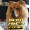 Scobar 2.0 24
