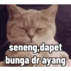 Stiker random edisi valentine 11