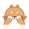 Cute cat and dog 6