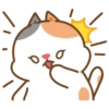 Cute cat and dog 16