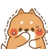 Cute cat and dog 8
