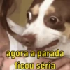 Só pra debochar  6