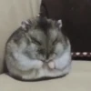 Random gif part 6