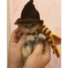 Halloween 🎃 7