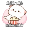 Hari hari Peach Cat 15