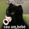 Reações de pets  13