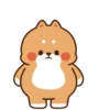Cute cat and dog 24