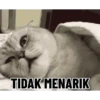 Hehe 6