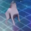 Animados Shitpost 😩🤣 13