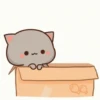 Gatitos 7