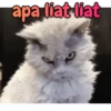 Raniah Stiker animasi 30