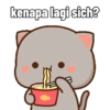 Hari hari Peach Cat 11