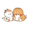 Cute cat and dog 23