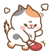 Cute cat and dog 7