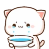 Hari hari Peach Cat 17