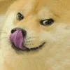 Funny memes 8