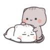 Kucing gemoy 7