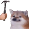 Dogesh 14