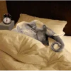 Quero dormir 6