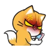 All cat for u 5