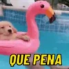 Salva e usa pra reagir 😂 15