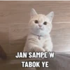 Meme kucing pt. 2 11