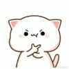 Gatitos 8