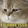 Memes pets 🥰 15
