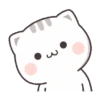 Gatitos 9