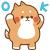Cute cat and dog 20