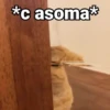 Gatitos con Frases 8