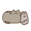 Pusshen cat 5