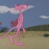 Pantera Rosa 13