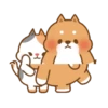Cute cat and dog 28