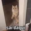 Animadas em alta ⬆️ 9