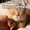 Meme kucing pt. 2 16