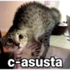 Gatitos con Frases 18
