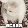 Reações 😲😩😁 12