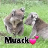 Animales Divertidos🐒🐤🦁 Mov🐽 8