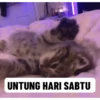 Random gif part 12