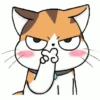 All cat for u 11