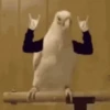 Reações de pets  11