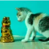 Kokoritos💖🐈 7