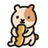 Hamsters 🐹✨ 9